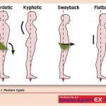 How Can Men Make Themselves Look Taller And Have Good Biomechanics